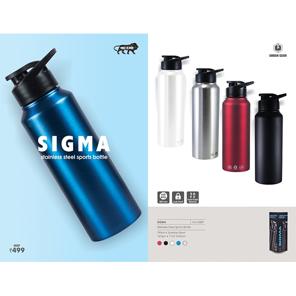 Stainless Steel Sports Bottle - 750Ml Sigma