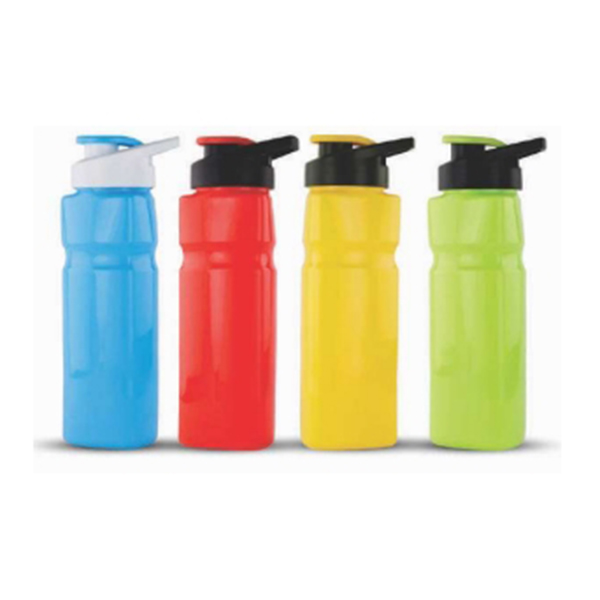 Wbt71D - Desert Water Bottle
