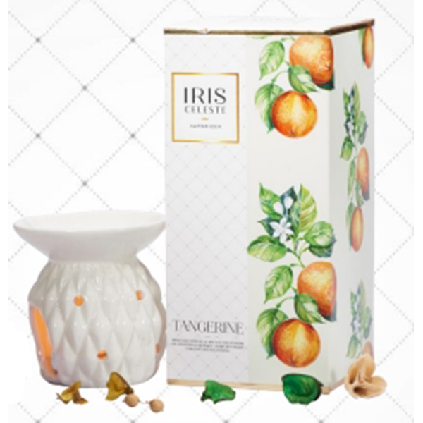 Fv0002Tg - Fragrance Vaporizer