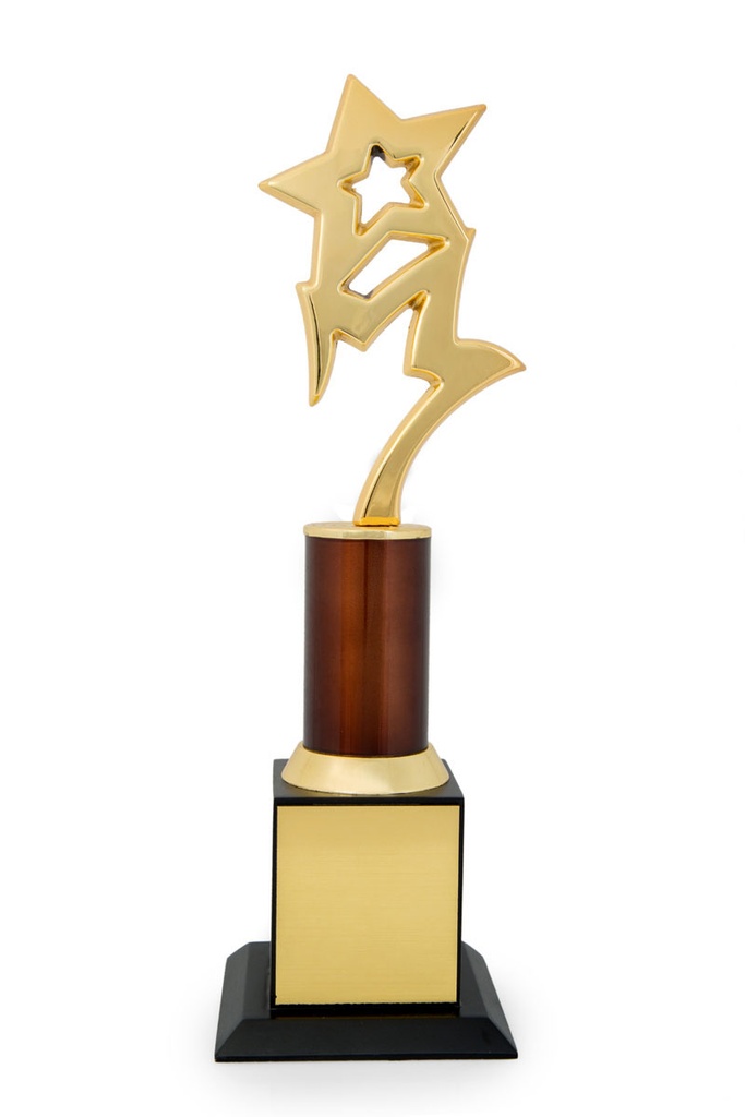 Full And Half Star Trophy Model-1087 100X100X328Mm