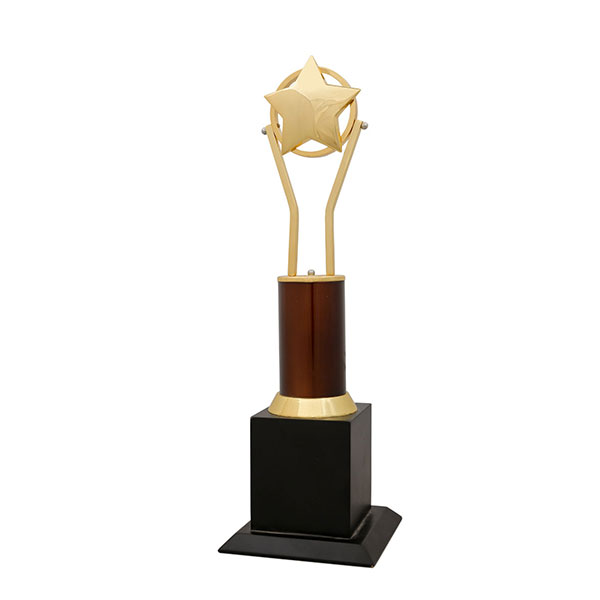 Star On Two Pillar Trophy Model-1103 100X100X320Mm