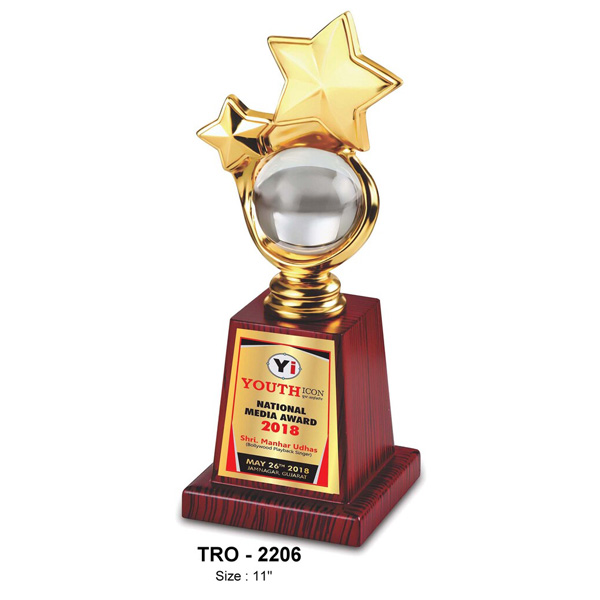 Premium Metal Star Trophy , With A Globe, Signifying A Global Achiever Tro-2206 (11 Inches)