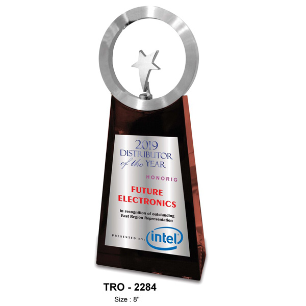 Silver Star Achievers Memento Tro-2284 (8 Inches)