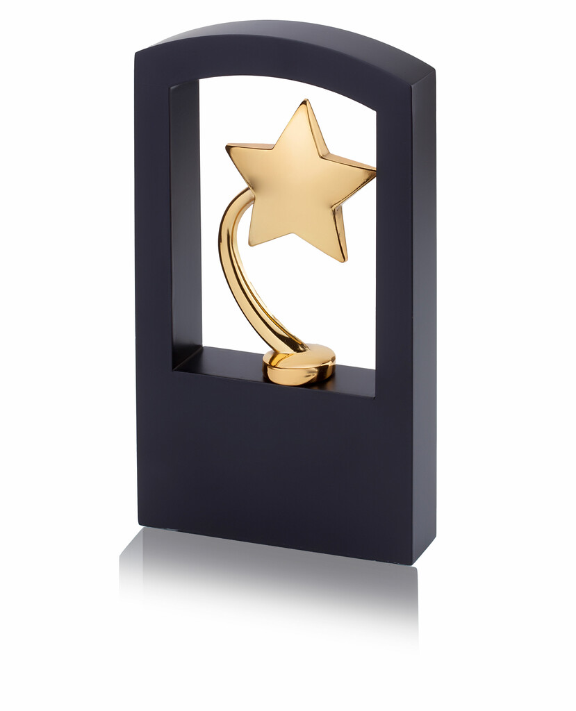 Metal Trophy Tro-2312 (7 Inches)