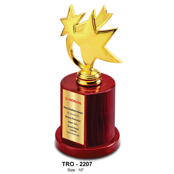 Premium Metal Star Trophy , With An Achievers' Ribbon Tro-2207 (10 Inches)