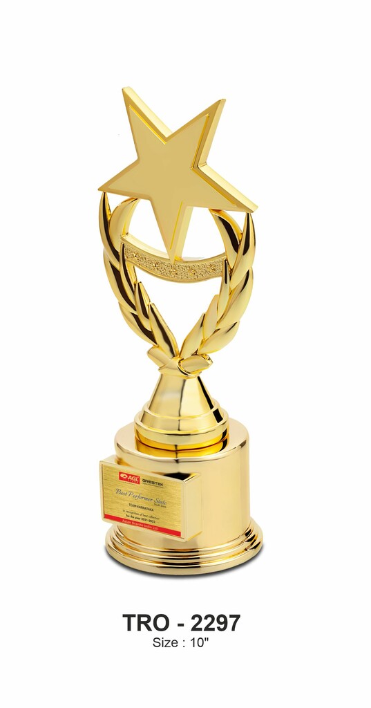 Metal Trophy Tro-2297 (10 Inches)