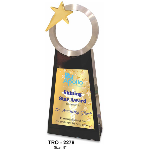Premium Shining Star Award Trophy Tro-2279 (8 Inches)