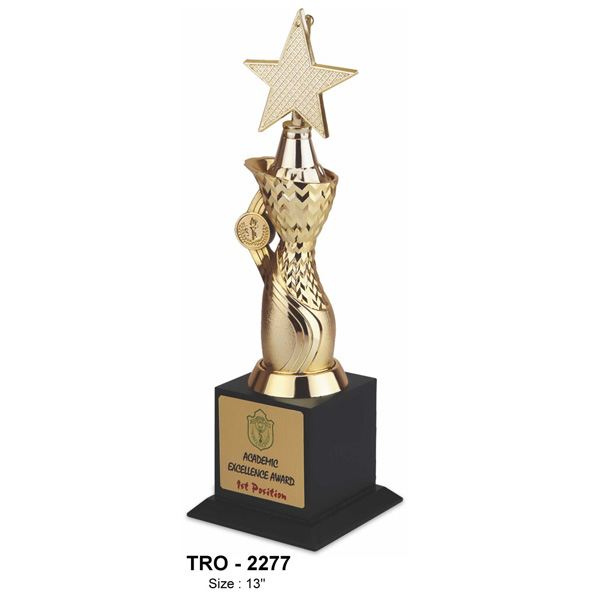 Star Designer Trophy Tro-2277 (13 Inches)