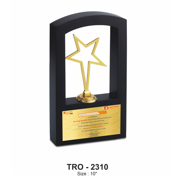 Metal Trophy Tro-2310 (10 Inches)