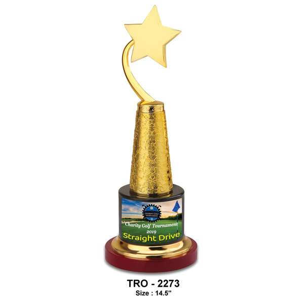 Golden Star Trophy Tro-2273 (14.5 Inches)