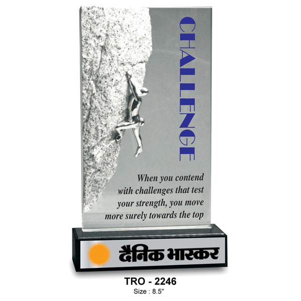 Best Achievers Trophy Tro-2246 (8.5 Inches)