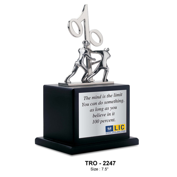Inspirational Trophy Tro-2247 (7.5 Inches)