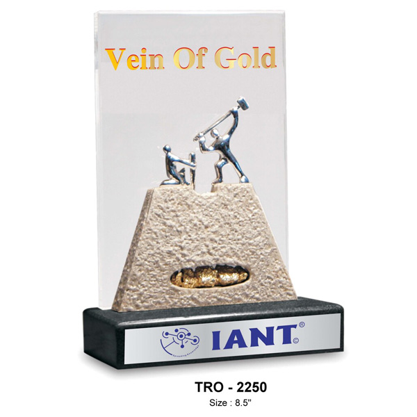 Inspirational Team Work Trophy Tro-2250 (8.5 Inches)