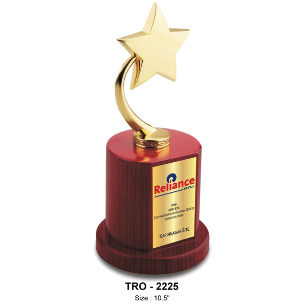 Premium Metal Star Trophy, On A Wooden Base Tro-2205 (11 Inches)