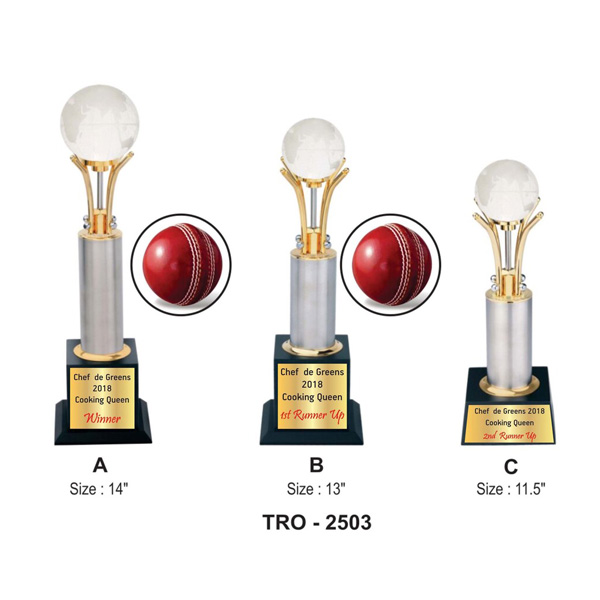 Corporate World Globe Trophy Tro-2503 (11.5 Inches)
