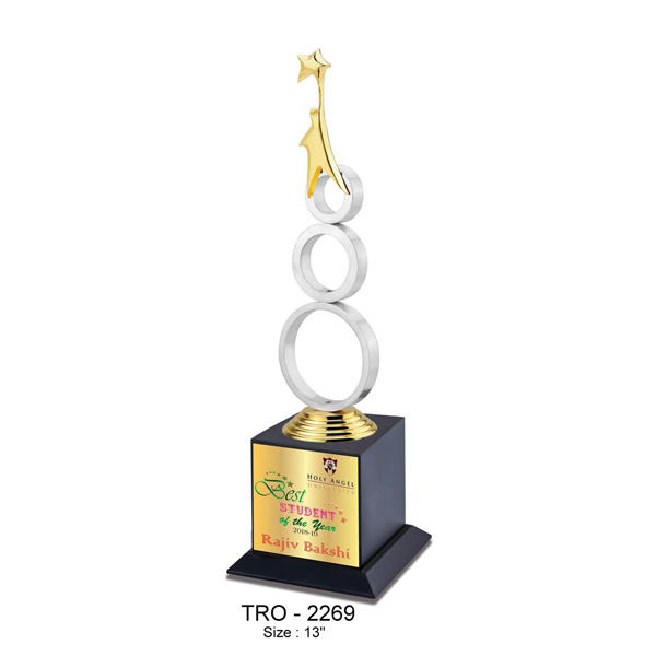 Star Performer Trophy Tro-2269 (13 Inches)