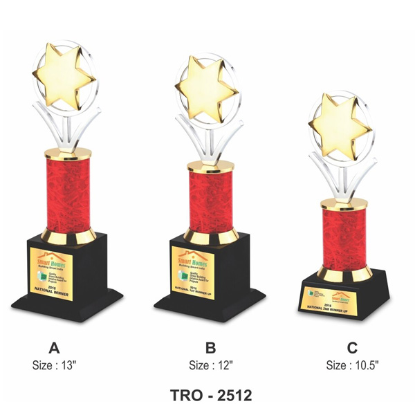 Ring With Star Trophy Tro-2512 (10.5 Inches)