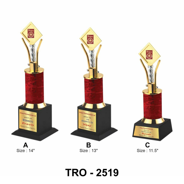 Corporate Designer Trophy Tro-2519 (11.5 Inches)
