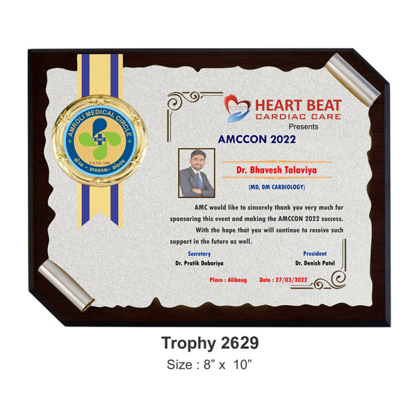 Silver Plate Scroll Plaque Trophy 2629 (8*10 Inches)