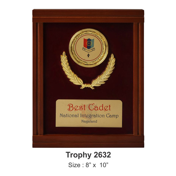Personalized Medal Display Plaque Tro-2632 (8*10 Inches)