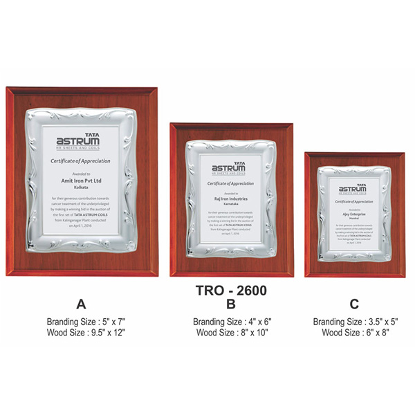 Corporate Silver Metal Plate Plaque / Memento Tro - 2600 (6*8 Inches)