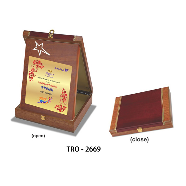 Wooden Star Plaque With Box Tro-2669 (9.5*12 Inches)