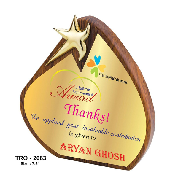 Designer Wooden Plaque With Star Tro-2663 (7.5 Inches)