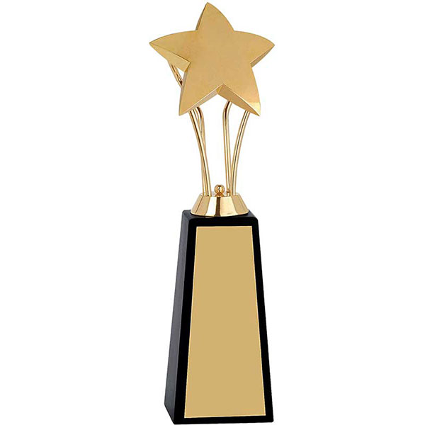 Tilted Single Star Trophy Model-1016 75X93X320Mm