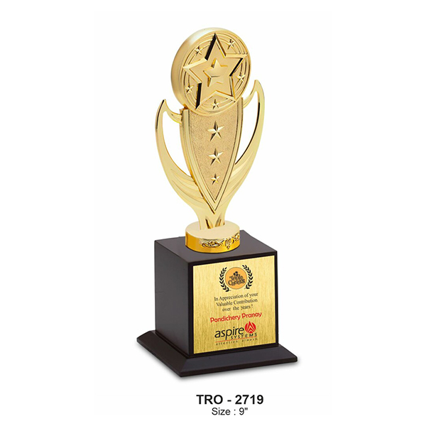Metal Trophy Tro - 2719 9"