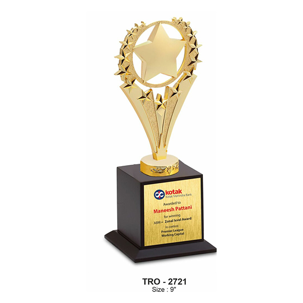 Metal Trophy Tro - 2721 9"