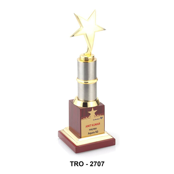 Metal Trophy Tro - 2707 13 Inch