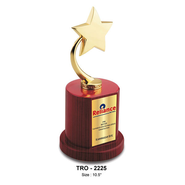 Premium Metal Star Trophy, On A Wooden Base Tro - 2225 10.5" Inch