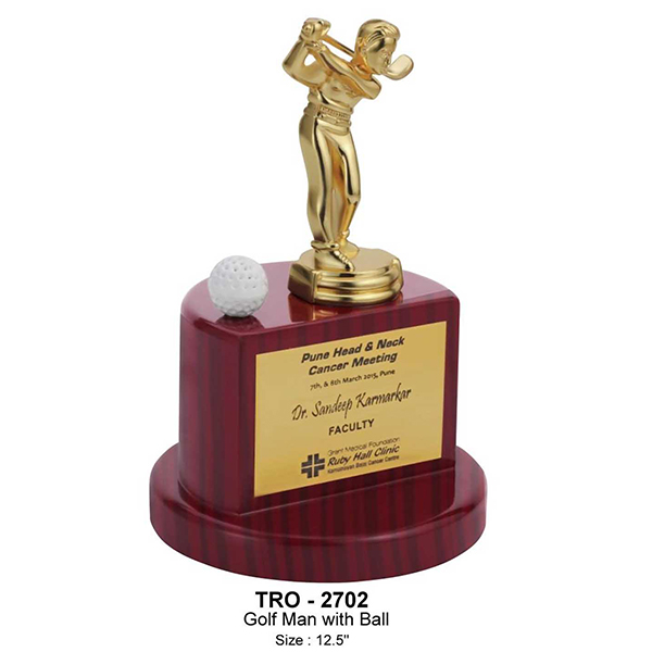 Golf Man Trophy Tro - 2702 7" Inch