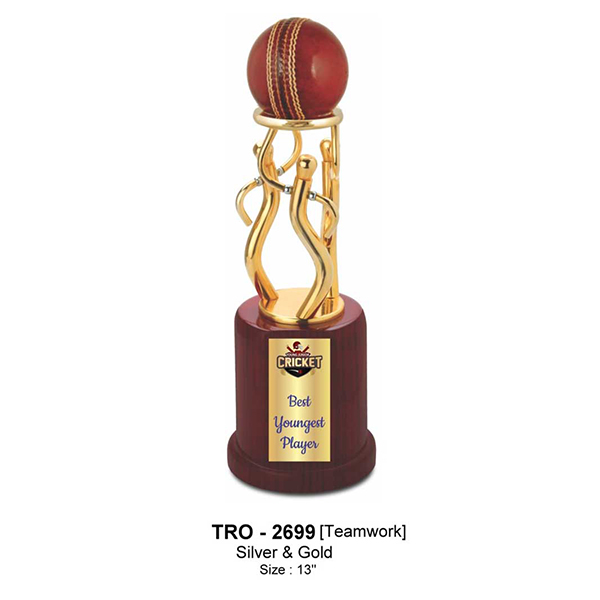 Cricket Teamwork Trophy Tro - 2699 13" Inch