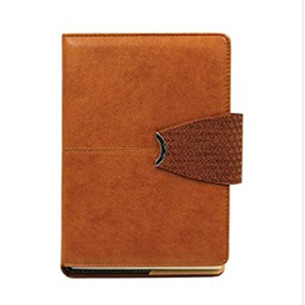 Viva Symphony Portfolio Diaries A5